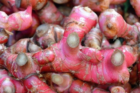 red ginger variety